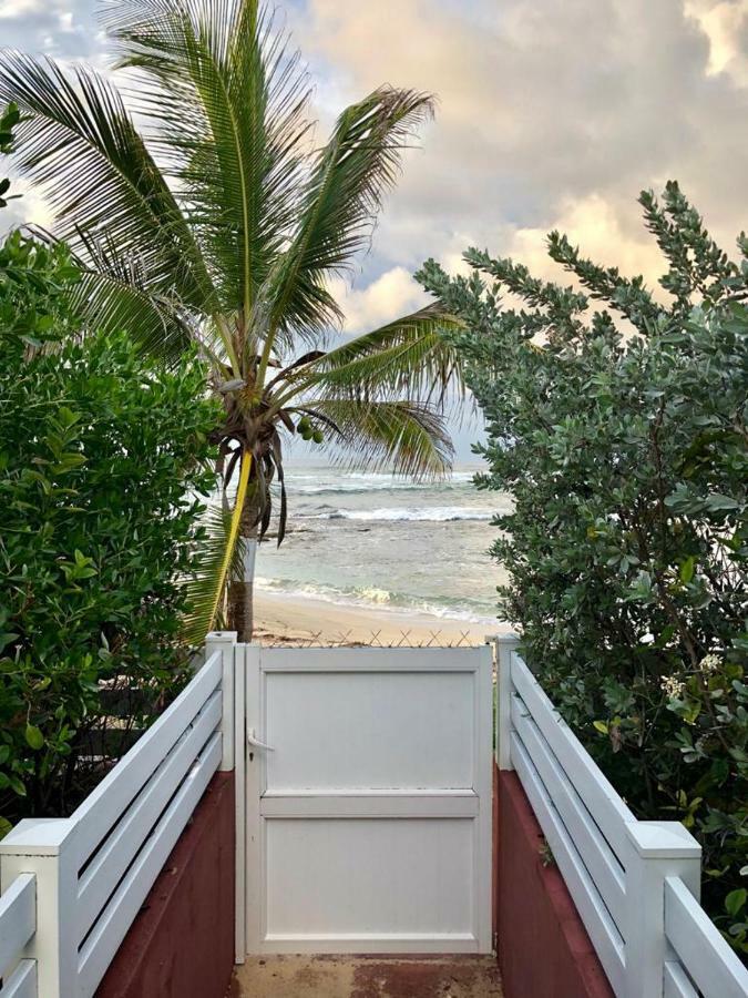 Appartement Au Bord De Mer Le Moule Esterno foto